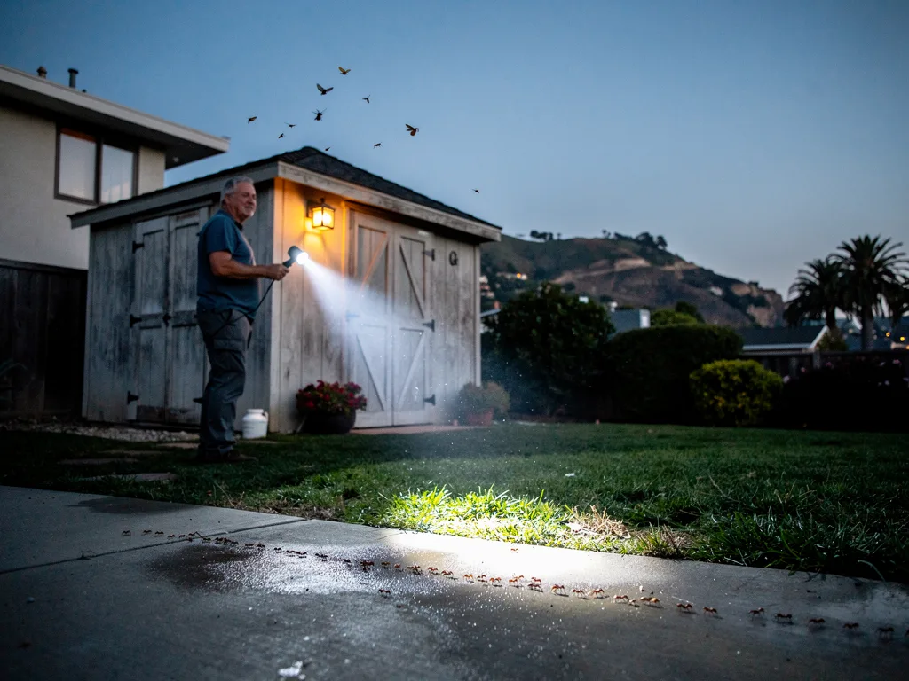 Common warning signs homeowners notice at dusk